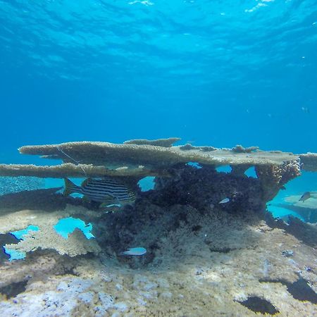 Ukulhas Beach Inn Εξωτερικό φωτογραφία