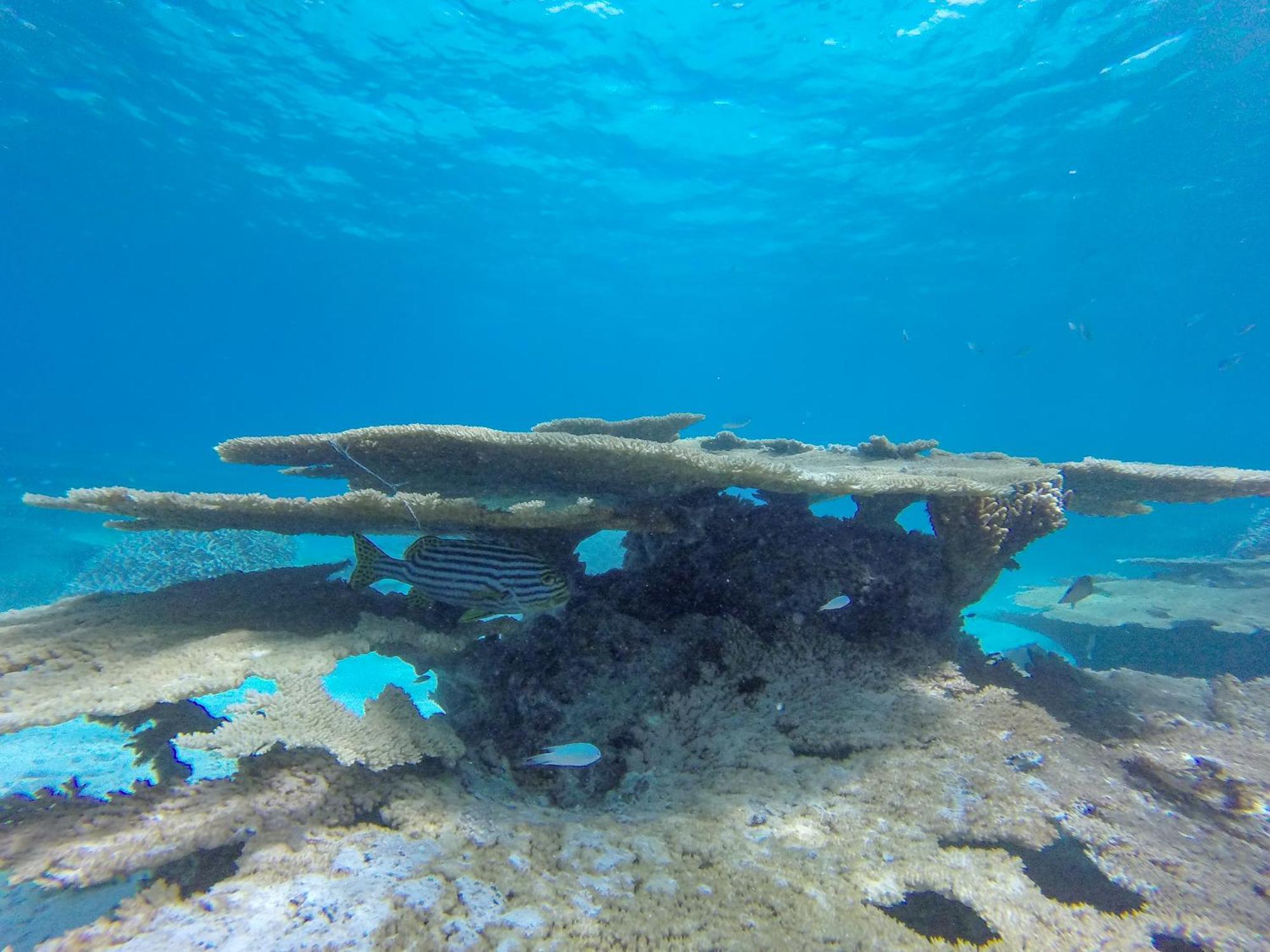 Ukulhas Beach Inn Εξωτερικό φωτογραφία